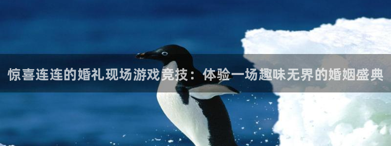 杜邦娱乐平台负责人：惊喜连连的婚礼现场游戏竞技：体验一场趣味
