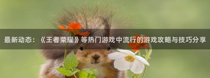 杜邦娱乐4主管：最新动态：《王者荣耀》等热门游戏中流行的游戏