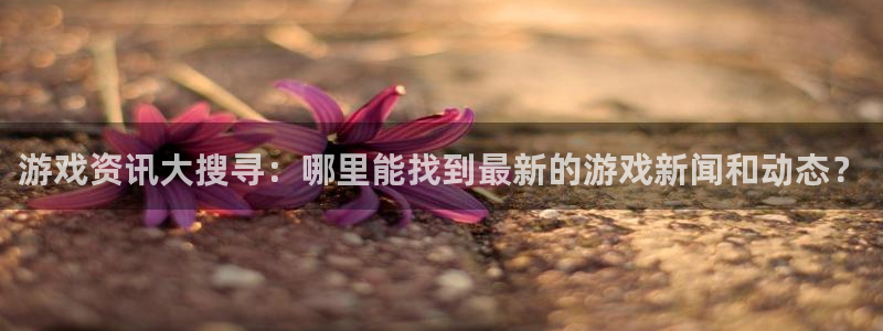 杜邦娱乐注册登录平台：游戏资讯大搜寻：哪里能找到最新的游戏新