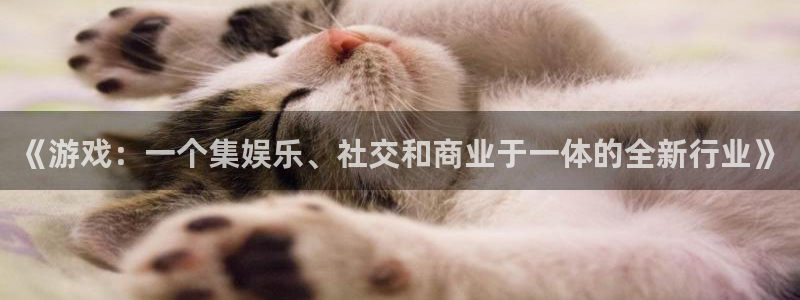 杜邦娱乐咨询：《游戏：一个集娱乐、社交和商业于一体的全新行业