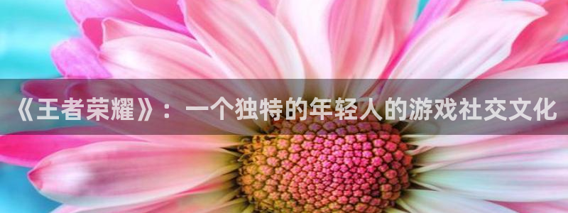 杜邦娱乐测速：《王者荣耀》：一个独特的年轻人的游戏社交文化