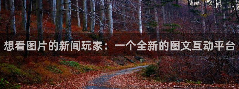 杜邦娱乐主管：想看图片的新闻玩家：一个全新的图文互动平台
