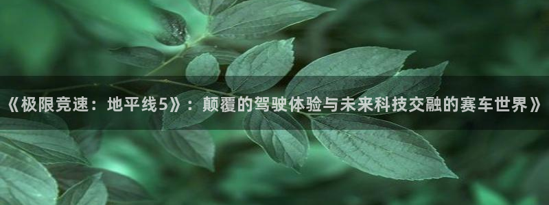 杜邦娱乐官网APP
