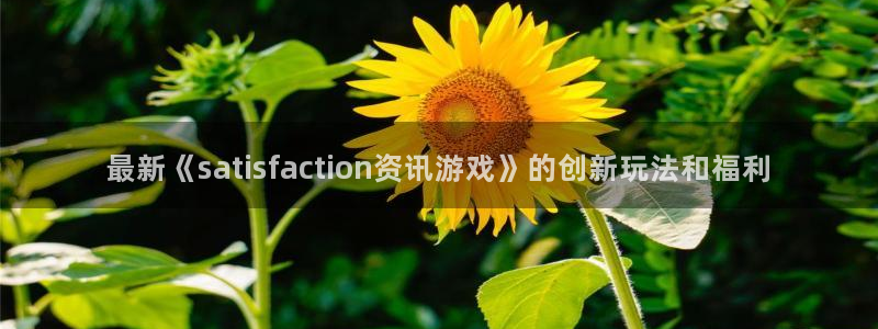 杜邦娱乐嘉675.138最新版本更新内容介绍
