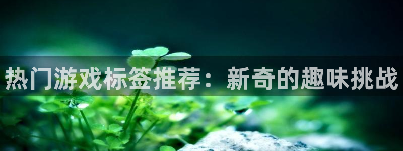 杜邦娱乐app官网入口下载