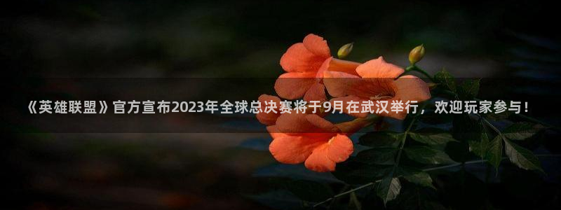 杜邦娱乐计划 3D
