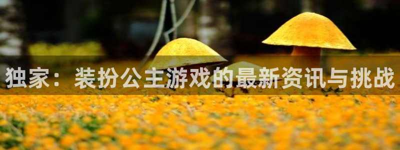 杜邦娱乐嘉675.138的详细介绍