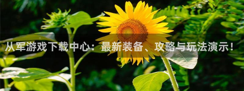 杜邦娱乐675官网入口：从军游戏下载中心：最新装备、攻略与玩
