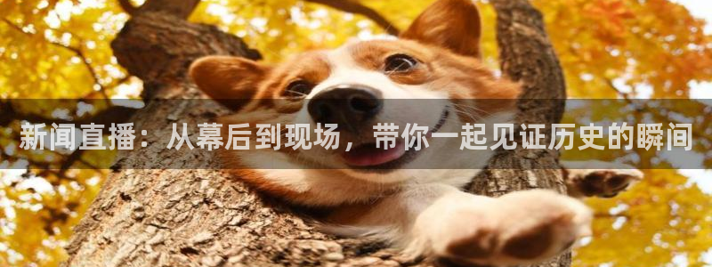 857直播体育直播间