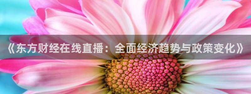 857免费nba在线直播观看