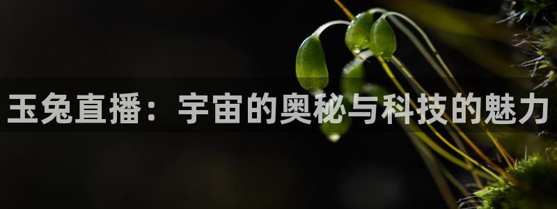 857足球比赛直播免费：玉兔直播：宇宙的奥秘与科技的魅力