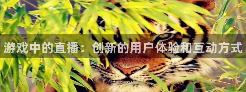 857体育直播间官网：游戏中的直播：创新的用户体验和互动方式