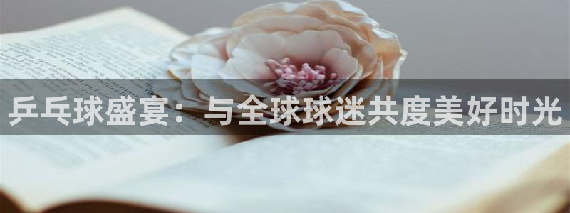 857直播免费体育直播：乒乓球盛宴：与全球球迷共度美好时光