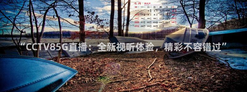 857看球直播：“CCTV85G直播：全新视听体验，精彩不容错过”