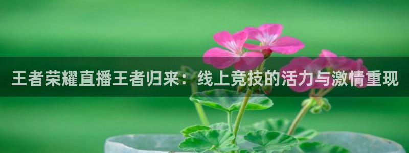857体育视频直播：王者荣耀直播王者归来：线上竞技的活力与激情重现