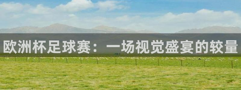 857体育在线直播：欧洲杯足球赛：一场视觉盛宴的较量