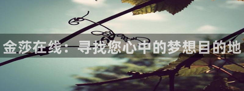 857足球直播观看入口：金莎在线：寻找您心中的梦想目的地