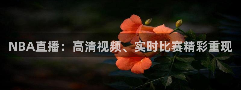 857体育在线直播观看：NBA直播：高清视频、实时比赛精彩重现