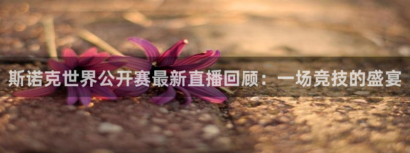 857体育赛事直播nba：斯诺克世界公开赛最新直播回顾：一场竞技的盛宴