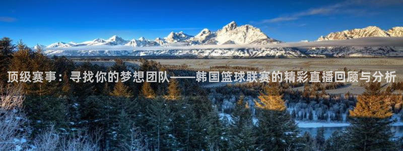 857体育在线直播：顶级赛事：寻找你的梦想团队——韩国篮球联赛的精彩直播回顾与分析