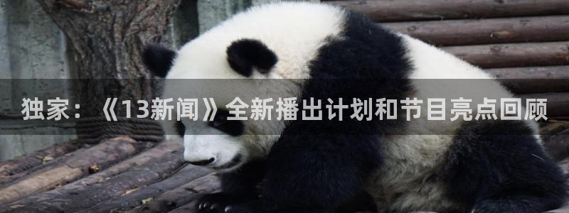 857体育直播解说：独家：《13新闻》全新播出计划和节目亮点回顾