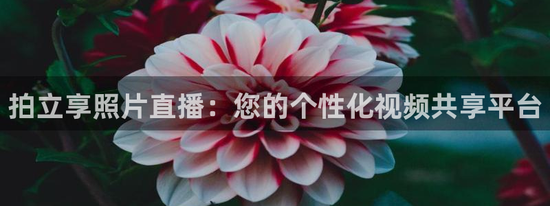 857nba直播：拍立享照片直播：您的个性化视频共享平台